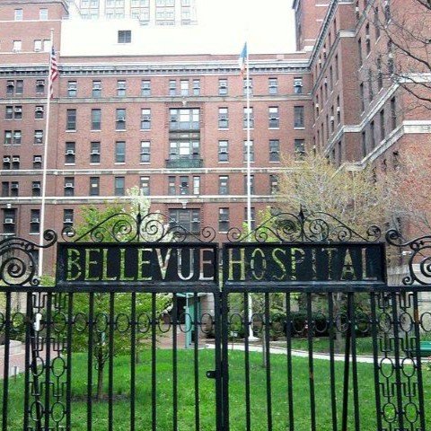 Smiling person in a calm setting